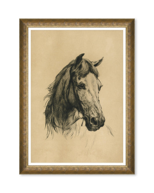 Head of a Horse by Heywood Hardy Framed Art_Wall Art_Mindthegap