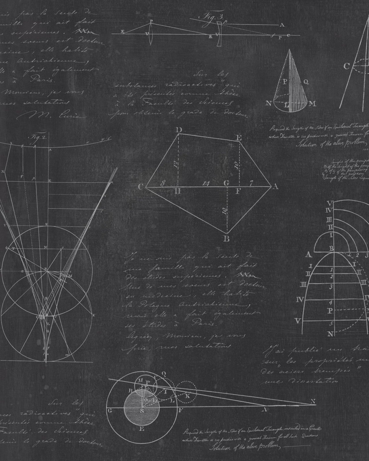 NEWTON GEOMETRY Wallpaper_Wallpaper_Mindthegap