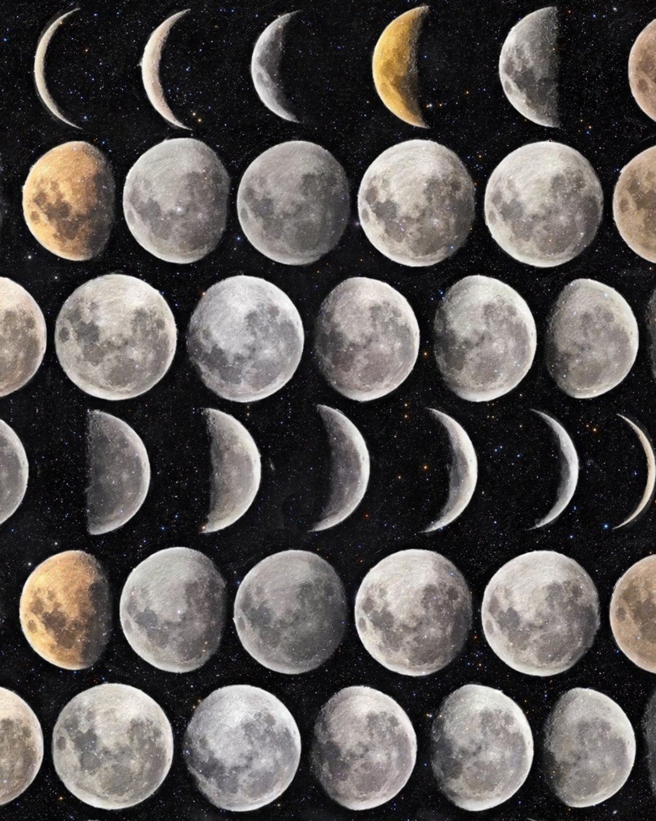 MOON PHASES Premium Wallpaper_Wallpaper_Mindthegap